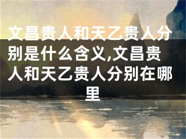 文昌贵人和天乙贵人分别是什么含义,文昌贵人和天乙贵人分别在哪里