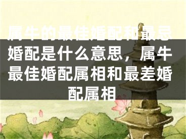属牛的最佳婚配和最忌婚配是什么意思,属牛最佳婚配属相和最差婚配属相