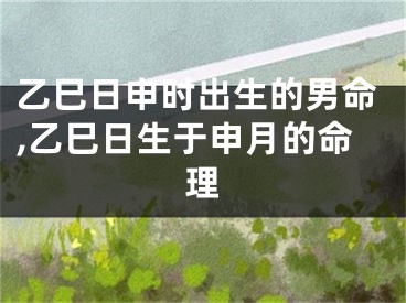 乙巳日申时出生的男命,乙巳日生于申月的命理