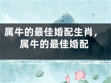 属牛的最佳婚配生肖，属牛的最佳婚配