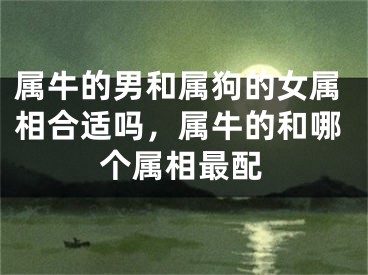 属牛的男和属狗的女属相合适吗，属牛的和哪个属相最配