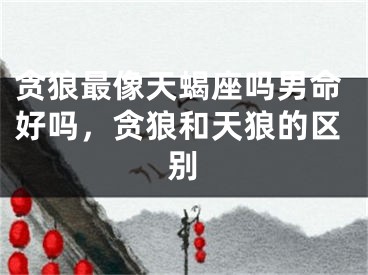 贪狼最像天蝎座吗男命好吗，贪狼和天狼的区别