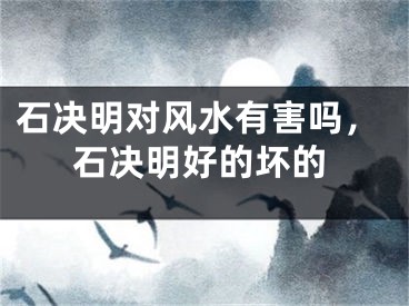 石决明对风水有害吗，石决明好的坏的