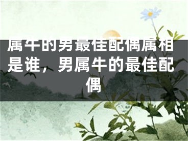 属牛的男最佳配偶属相是谁，男属牛的最佳配偶