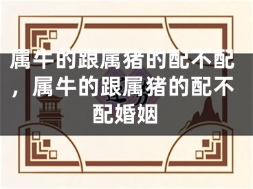 属牛的跟属猪的配不配，属牛的跟属猪的配不配婚姻