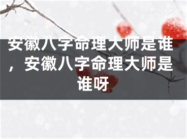 安徽八字命理大师是谁，安徽八字命理大师是谁呀
