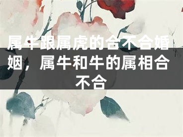 属牛跟属虎的合不合婚姻，属牛和牛的属相合不合