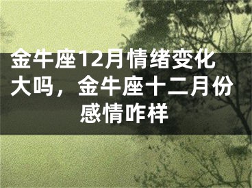 金牛座12月情绪变化大吗，金牛座十二月份感情咋样