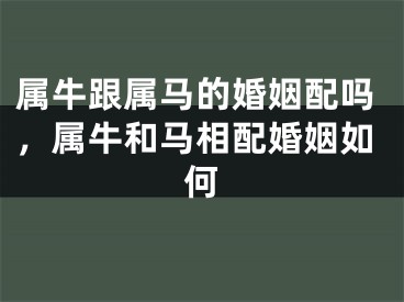 属牛跟属马的婚姻配吗，属牛和马相配婚姻如何