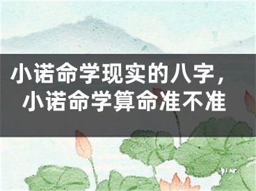 小诺命学现实的八字，小诺命学算命准不准