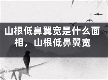 山根低鼻翼宽是什么面相，山根低鼻翼宽