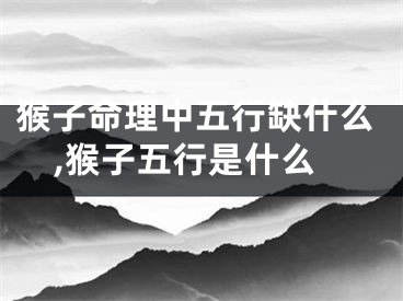 猴子命理中五行缺什么,猴子五行是什么