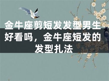 金牛座剪短发发型男生好看吗，金牛座短发的发型扎法