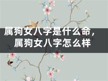 属狗女八字是什么命，属狗女八字怎么样