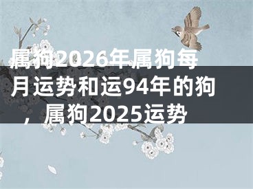 属狗2026年属狗每月运势和运94年的狗，属狗2025运势
