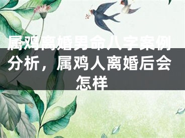 属鸡离婚男命八字案例分析，属鸡人离婚后会怎样