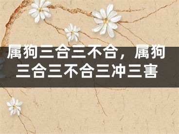 属狗三合三不合，属狗三合三不合三冲三害