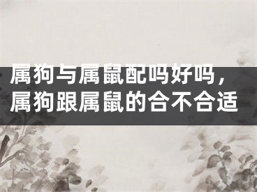 属狗与属鼠配吗好吗，属狗跟属鼠的合不合适