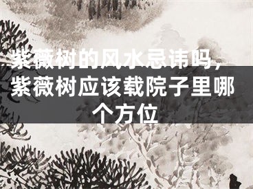 紫薇树的风水忌讳吗，紫薇树应该载院子里哪个方位