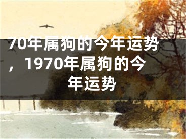 70年属狗的今年运势，1970年属狗的今年运势