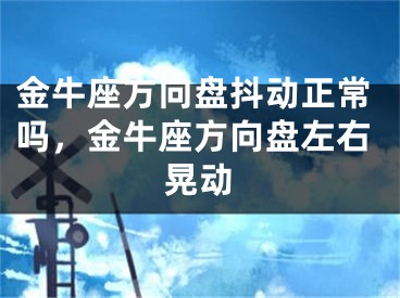 金牛座方向盘抖动正常吗，金牛座方向盘左右晃动