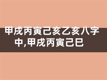 甲戌丙寅己亥乙亥八字中,甲戌丙寅己巳