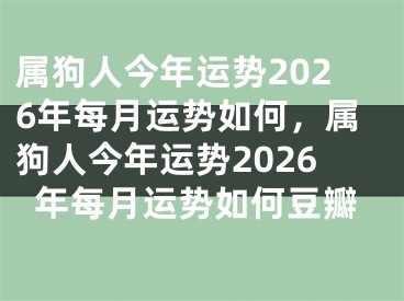 属狗人今年运势2026年每月运势如何，属狗人今年运势2026年每月运势如何豆瓣
