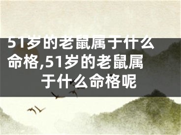 51岁的老鼠属于什么命格,51岁的老鼠属于什么命格呢