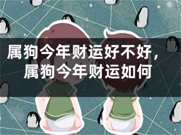 属狗今年财运好不好，属狗今年财运如何