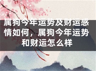 属狗今年运势及财运感情如何，属狗今年运势和财运怎么样