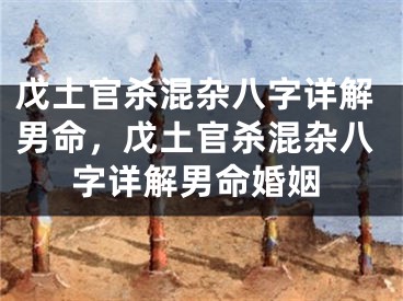 戊土官杀混杂八字详解男命，戊土官杀混杂八字详解男命婚姻