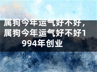 属狗今年运气好不好，属狗今年运气好不好1994年创业