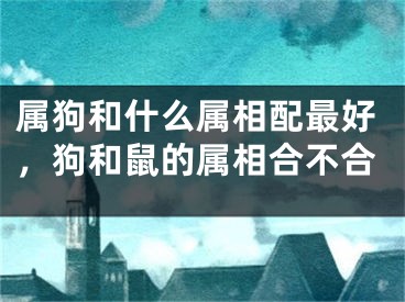 属狗和什么属相配最好，狗和鼠的属相合不合