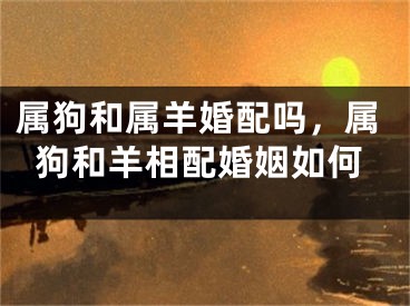 属狗和属羊婚配吗，属狗和羊相配婚姻如何