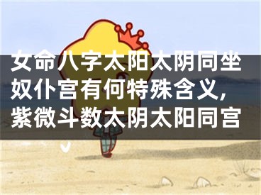 女命八字太阳太阴同坐奴仆宫有何特殊含义,紫微斗数太阴太阳同宫