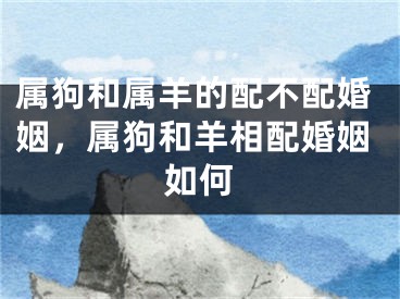 属狗和属羊的配不配婚姻，属狗和羊相配婚姻如何