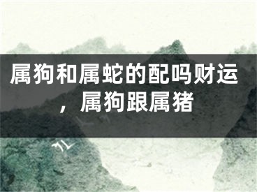 属狗和属蛇的配吗财运，属狗跟属猪