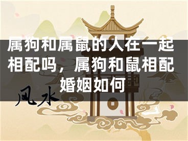 属狗和属鼠的人在一起相配吗，属狗和鼠相配婚姻如何