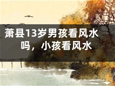 萧县13岁男孩看风水吗,小孩看风水