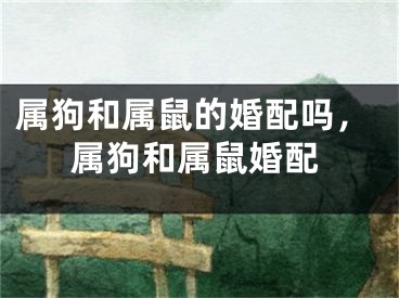 属狗和属鼠的婚配吗，属狗和属鼠婚配