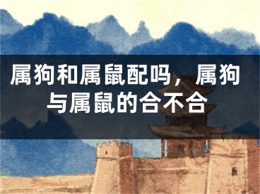 属狗和属鼠配吗，属狗与属鼠的合不合