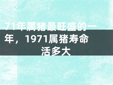 71年属猪最旺盛的一年,1971属猪寿命活多大