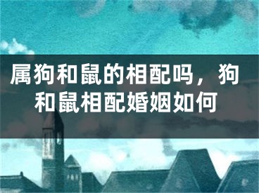 属狗和鼠的相配吗，狗和鼠相配婚姻如何