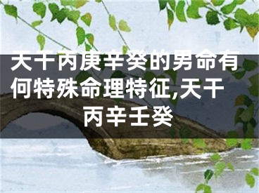 天干丙庚辛癸的男命有何特殊命理特征,天干丙辛壬癸