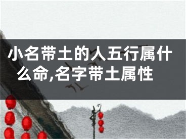 小名带土的人五行属什么命,名字带土属性