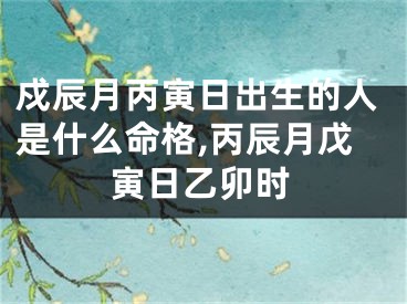 戍辰月丙寅日出生的人是什么命格,丙辰月戊寅日乙卯时