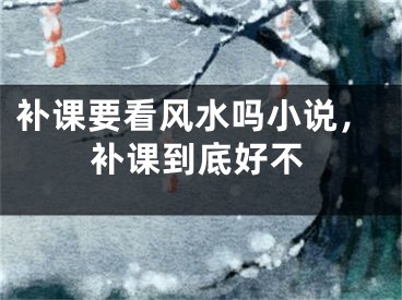 补课要看风水吗小说,补课到底好不