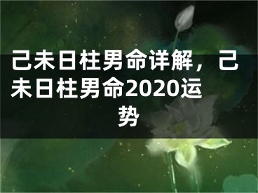 己未日柱男命详解，己未日柱男命2020运势