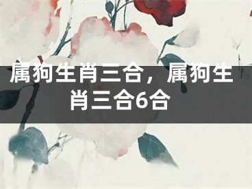 属狗生肖三合，属狗生肖三合6合