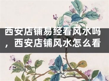 西安店铺易经看风水吗，西安店铺风水怎么看